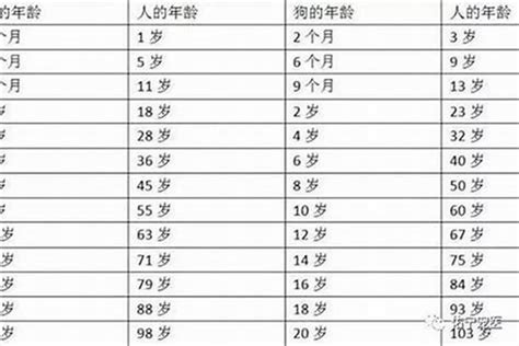 10年属什么